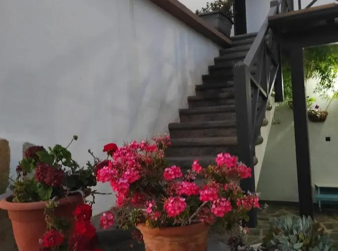 Suite La Oliva 度假居 拉·奥利瓦